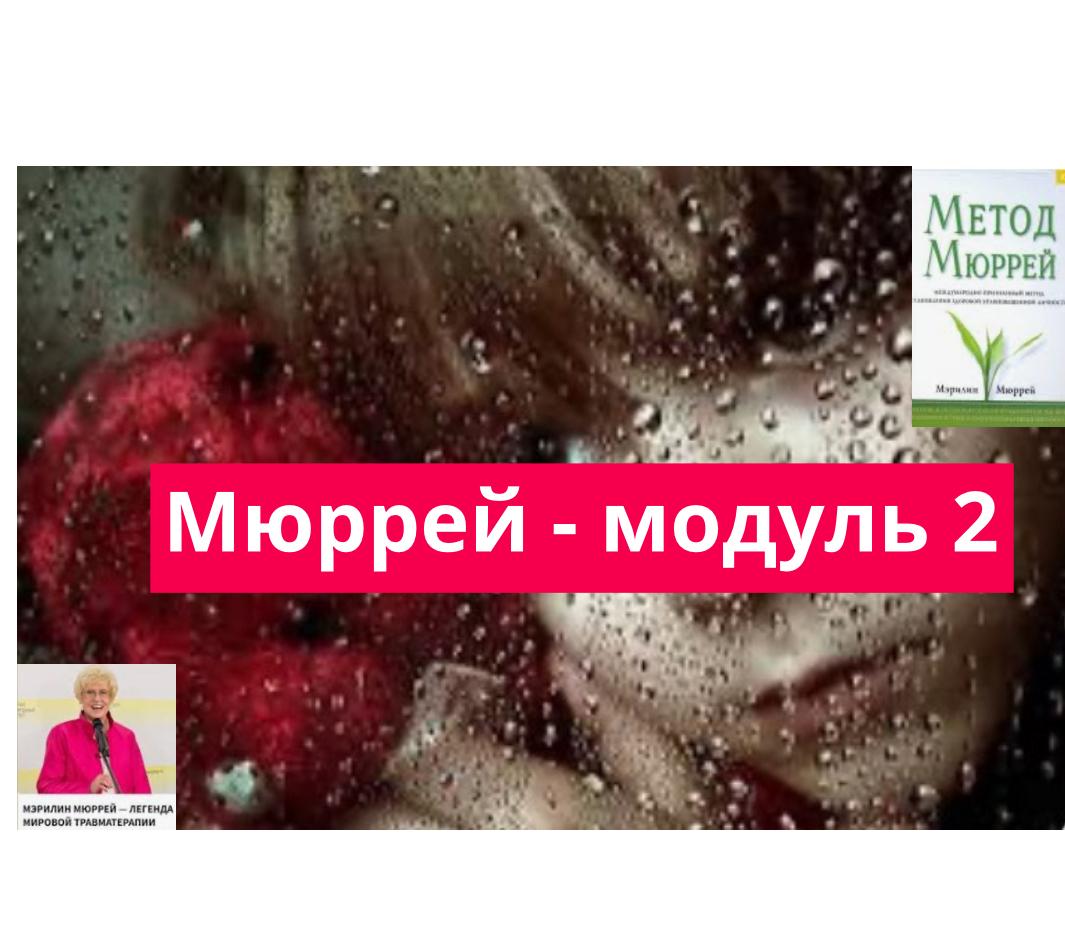img-376